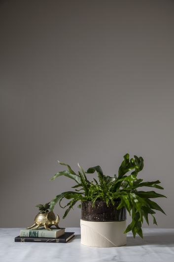 Plinth Glass Terrarium with Ceramic Base By Accent Decor | Planters, Troughs & Cachepots | Modishstore - 5