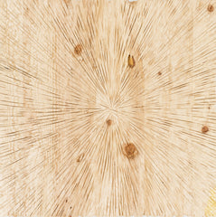 Surya Palmer Wall Decor - PLM8000-3636