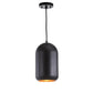 Safavieh Carisir Pendant - Painted Black | Pendant Lamps | Modishstore - 3