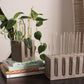 Propagation Plant Slim Vase Stand  By Accent Decor- 2 Sizes | Planters, Troughs & Cachepots | Modishstore - 5