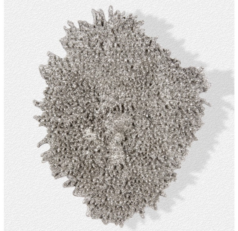 Coral Wall Art by Gold Leaf Design Group | Wall Decor | Modishstore - 6