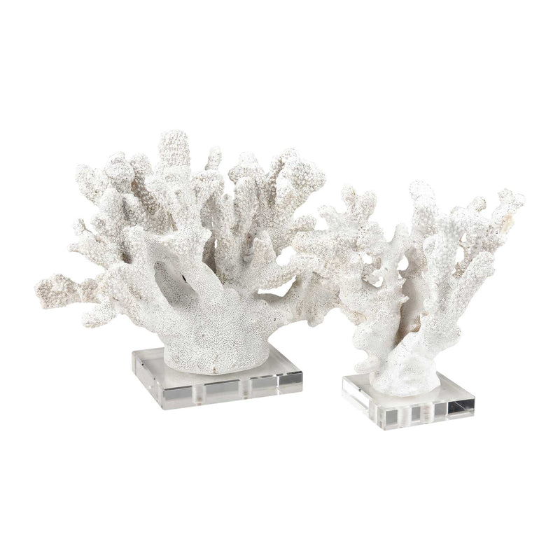 Coral Sculptures - Set Of 2 By ELK |Sculptures |Modishstore 