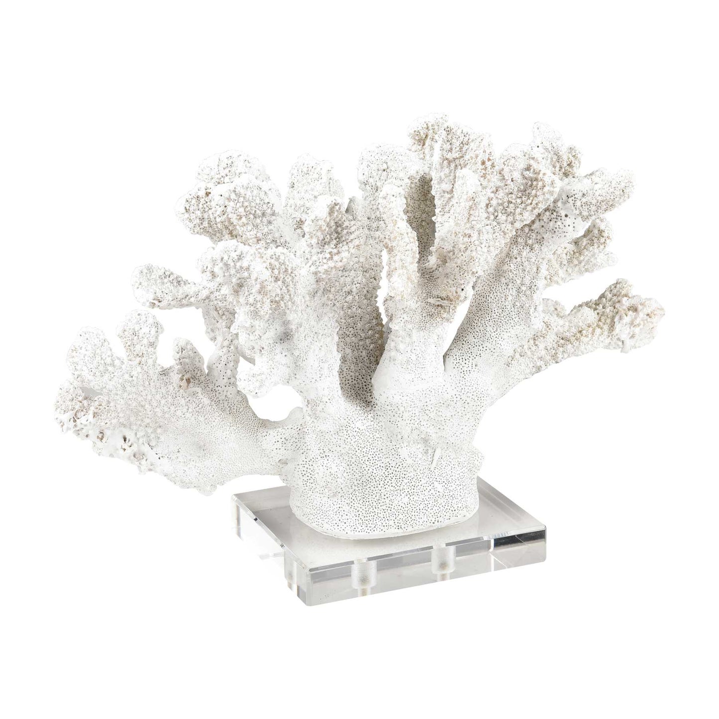 Coral Sculptures - Set Of 2 By ELK |Sculptures |Modishstore - 3