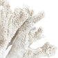 Coral Sculptures - Set Of 2 By ELK |Sculptures |Modishstore - 4