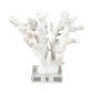 Coral Sculptures - Set Of 2 By ELK |Sculptures |Modishstore - 6