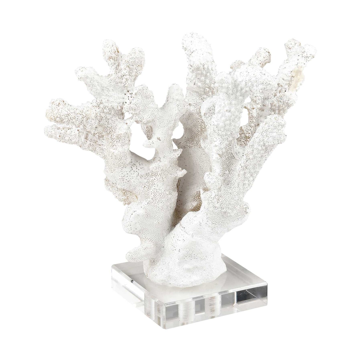 Coral Sculptures - Set Of 2 By ELK |Sculptures |Modishstore - 7