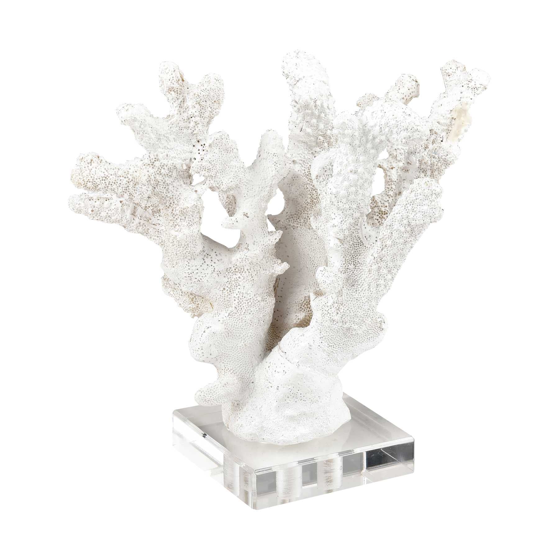 Coral Sculptures - Set Of 2 By ELK |Sculptures |Modishstore - 7