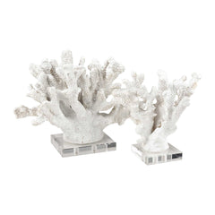 Coral Sculptures - Set Of 2 By ELK