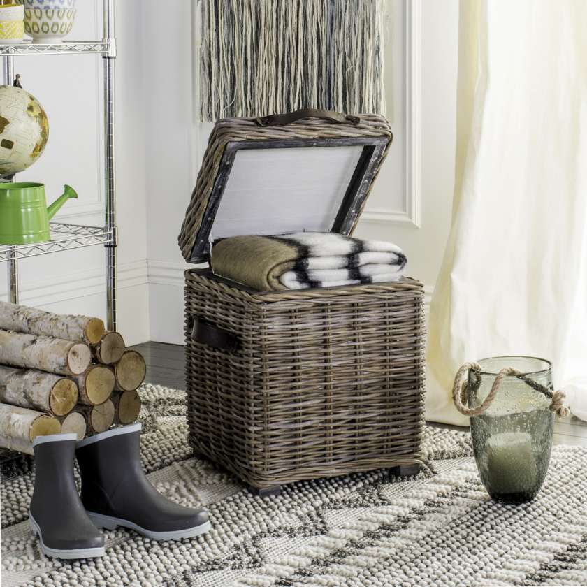 Safavieh Merlie Trunk | Cabinets | Modishstore - 2