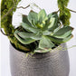 Vine & Succulent in Sitara Vase by Gold Leaf Design Group | Vases | Modishstore-2