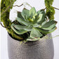 Vine & Succulent in Sitara Vase by Gold Leaf Design Group | Vases | Modishstore - 2