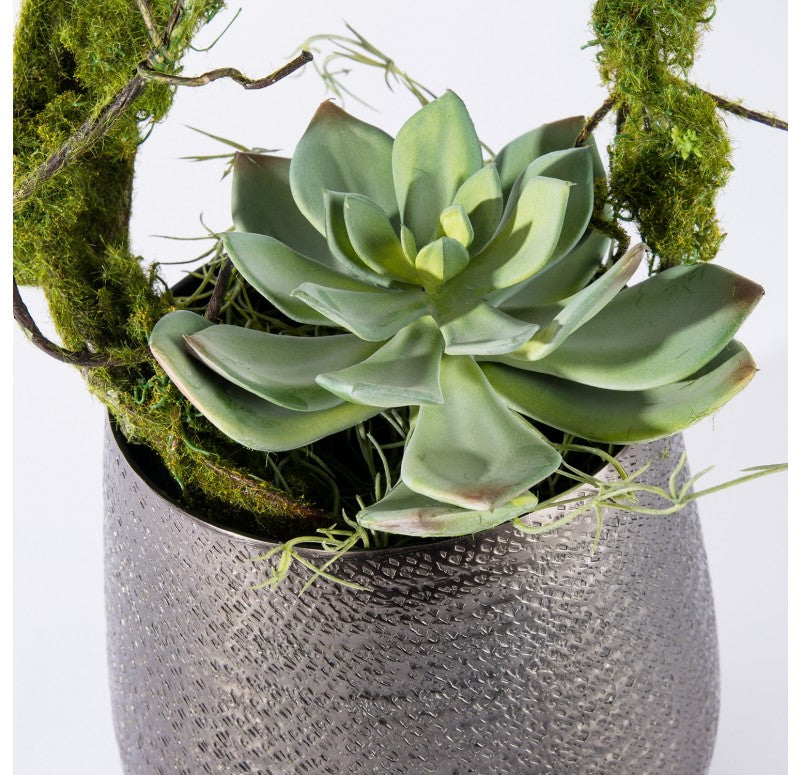 Vine & Succulent in Sitara Vase by Gold Leaf Design Group | Vases | Modishstore - 2
