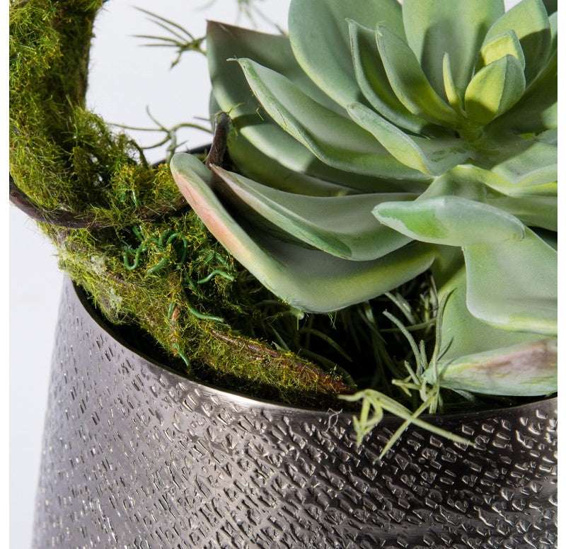 Vine & Succulent in Sitara Vase by Gold Leaf Design Group | Vases | Modishstore - 3