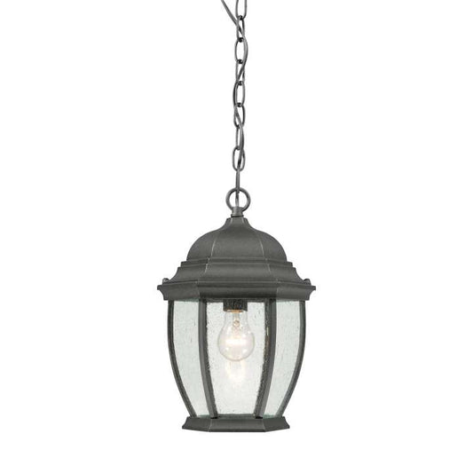 Covington 1-Light Pendant Lantern in Black | Pendant Lamps | Modishstore