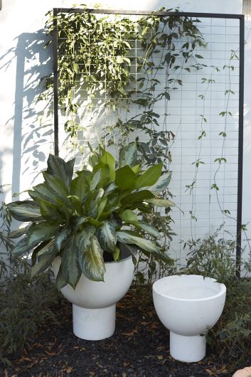 Sloan Concrete Basin Planter By Accent Decor | Planters, Troughs & Cachepots | Modishstore - 1