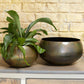 Sosa Bowl Set Of 4 By Accent Decor | Planters, Troughs & Cachepots | Modishstore - 3