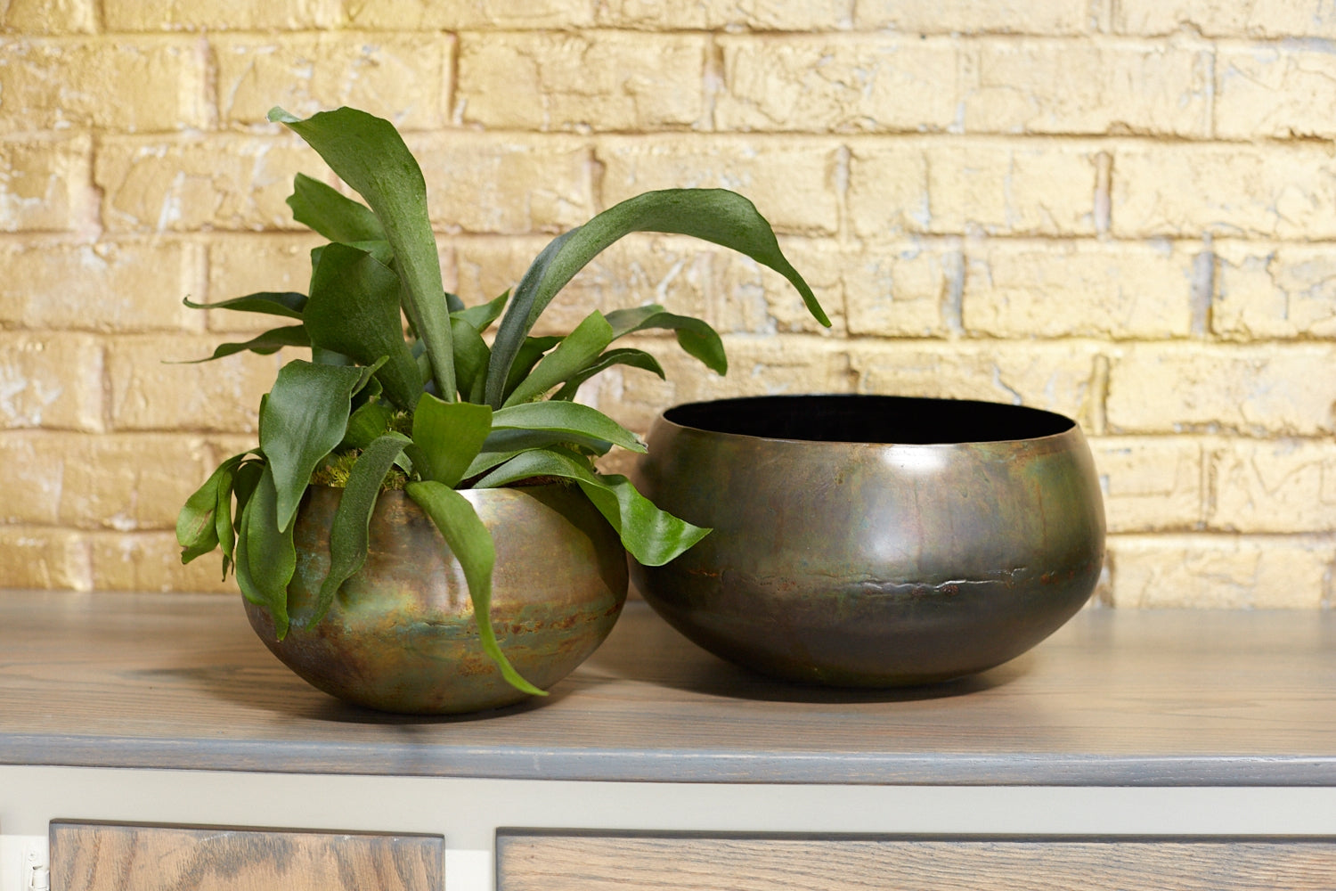 Sosa Bowl Set Of 4 By Accent Decor | Planters, Troughs & Cachepots | Modishstore - 3