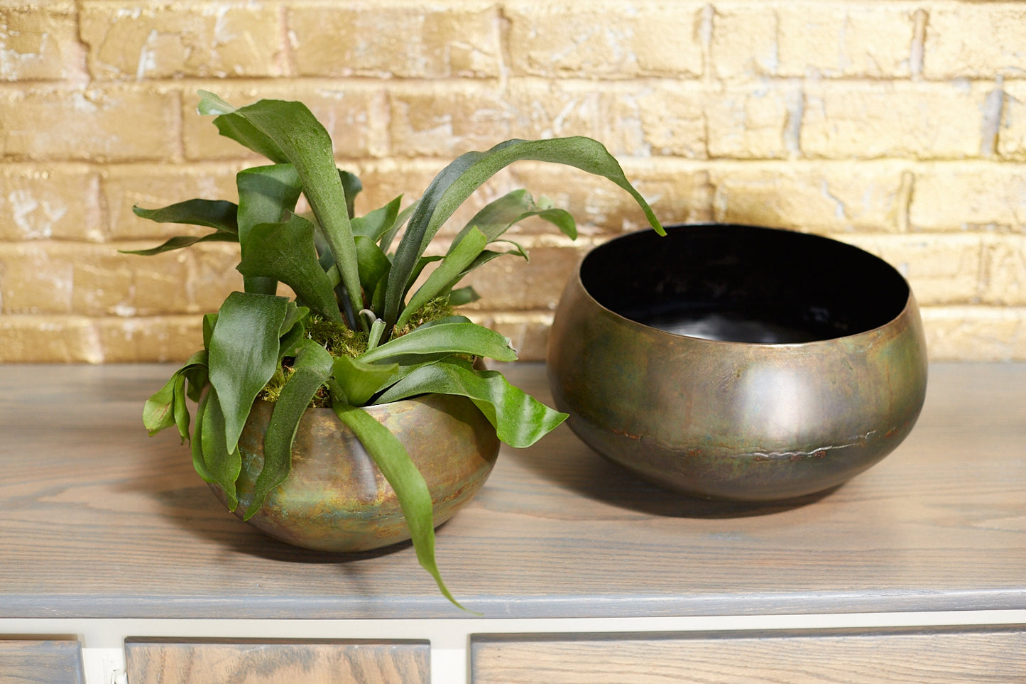 Sosa Bowl Set Of 4 By Accent Decor | Planters, Troughs & Cachepots | Modishstore - 1