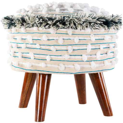 Surya Storage Stool - SWN-001 | Stools & Benches | Modishstore-4