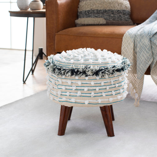 Surya Storage Stool - SWN-001 | Stools & Benches | Modishstore