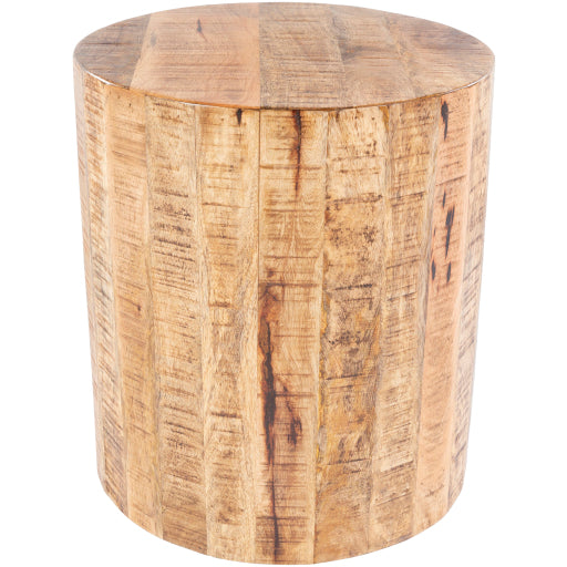 Surya End Table - TOE-004 | End Tables | Modishstore-3