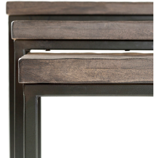 Surya Nesting Table Set - TOE001-SET | Nesting Tables | Modishstore-3