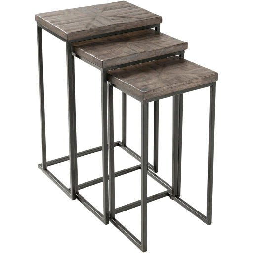 Surya Nesting Table Set - TOE001-SET | Nesting Tables | Modishstore-4