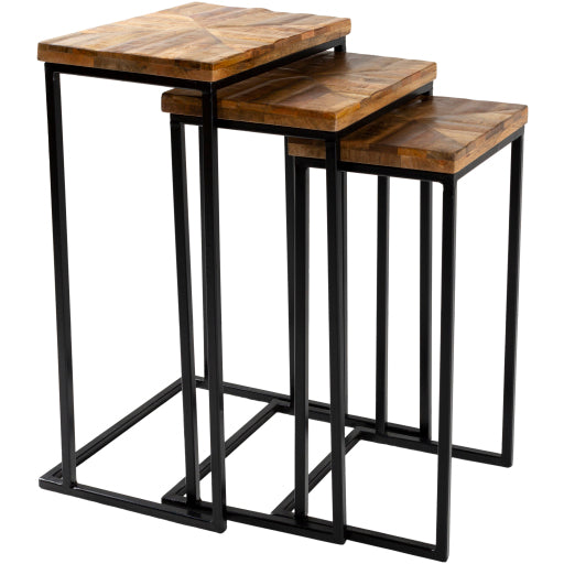 Surya Nesting Table Set - TOE002-SET | Nesting Tables | Modishstore-4