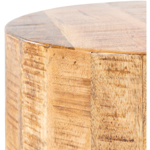 Surya End Table - TOE-004 | End Tables | Modishstore-4