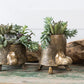 Tommie Turtle Pot Set Of 2 By Accent Decor | Planters, Troughs & Cachepots | Modishstore