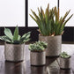 Gilded Alicante Pots-Set of 4 By Napa Home & Garden | Outdoor Planters, Troughs & Cachepots | Modishstore - 3