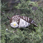 Felt Bird, Burrowing Owl Set of 4 by Gold Leaf Design Group | Outdoor Decor | Modishstore-2