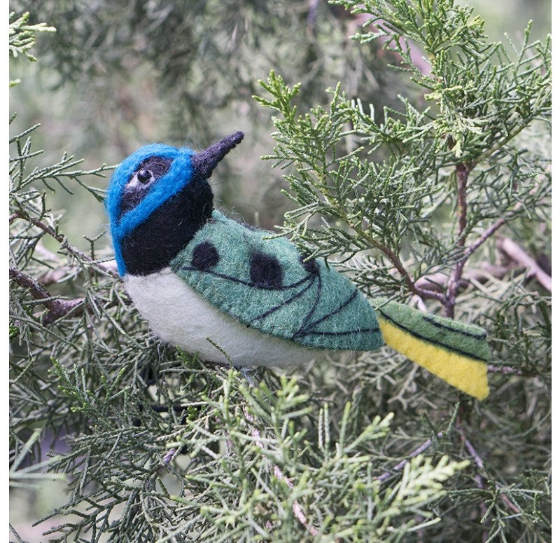 Felt Bird, Green Jay 1 by Gold Leaf Design Group | Animals & Pets | Modishstore - 2