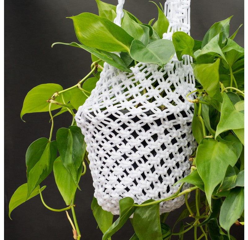 Macrame Hanging Basket by Gold Leaf Design Group | Planters, Troughs & Cachepots | Modishstore - 2