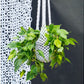 Macrame Hanging Basket by Gold Leaf Design Group | Planters, Troughs & Cachepots | Modishstore