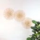 Kun Ya Korn - Set Of 3 Wall DeCor By Thaihome | Wall Decor | Modishstore - 6