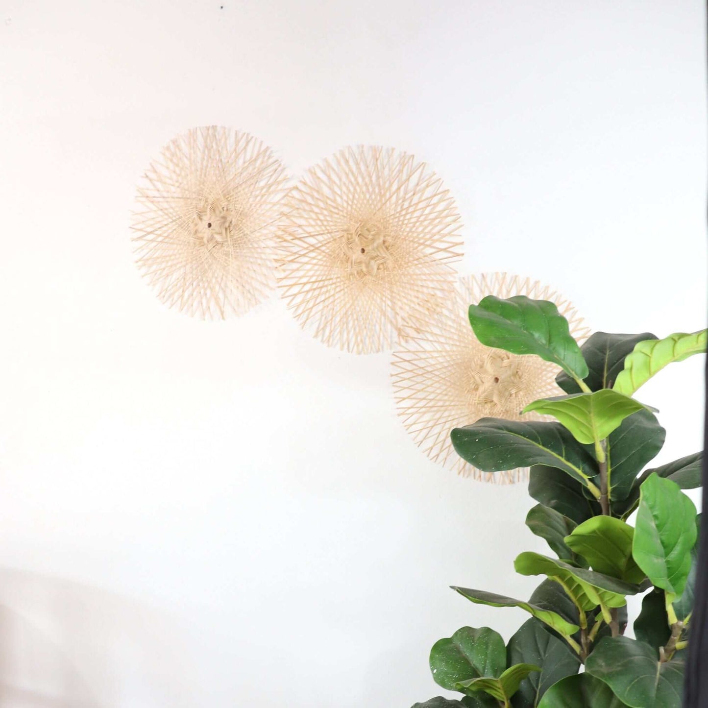 Kun Ya Korn - Set Of 3 Wall DeCor By Thaihome | Wall Decor | Modishstore - 3