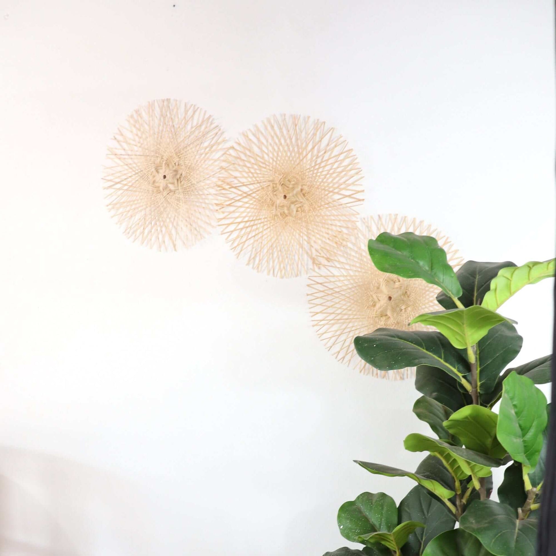Kun Ya Korn - Set Of 3 Wall DeCor By Thaihome | Wall Decor | Modishstore - 3