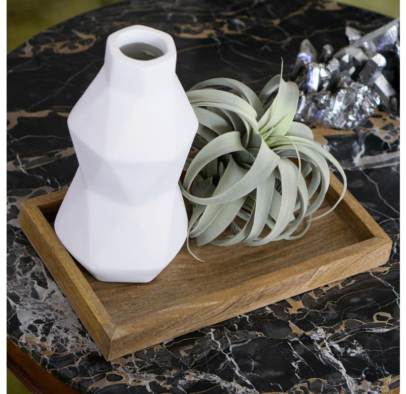 Lignum Tray, 16"L by Gold Leaf Design Group | Trays | Modishstore - 6