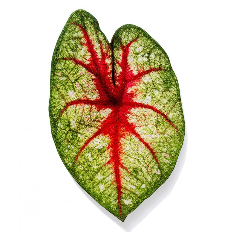 Mosaic Caladium Green Wall Art, 24"H by Gold Leaf Design Group | Green Wall | Modishstore