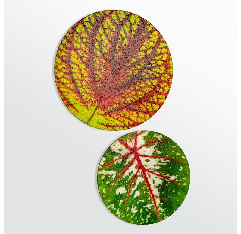 Mosaic Caladium Disc Pink Wall Art, 16"D by Gold Leaf Design Group | Wall Decor | Modishstore - 3