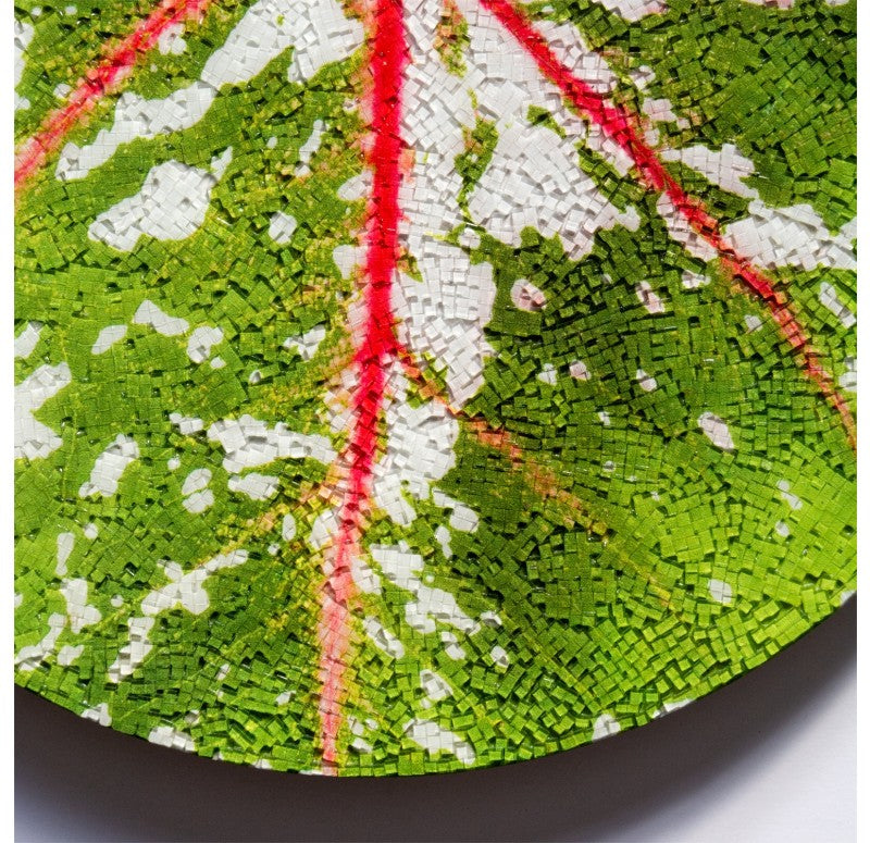 Mosaic Caladium Disc Pink Wall Art, 16"D by Gold Leaf Design Group | Wall Decor | Modishstore - 4