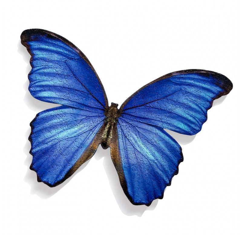 Mosaic Butterfly Blue Morpho Wall Art, 30"W by Gold Leaf Design Group | Wall Decor | Modishstore