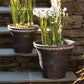 Wakefield Handmade Dunbarton Pots, #20 & #12 By Napa Home & Garden | Outdoor Planters, Troughs & Cachepots | Modishstore - 2
