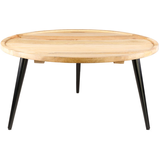 Surya Coffee Table - WTI-001 | Coffee Tables | Modishstore-2