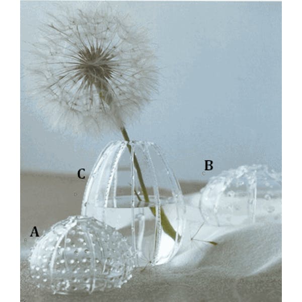 Hand-Blown Glass Sea Urchin Vases | Vases | Modishstore-5