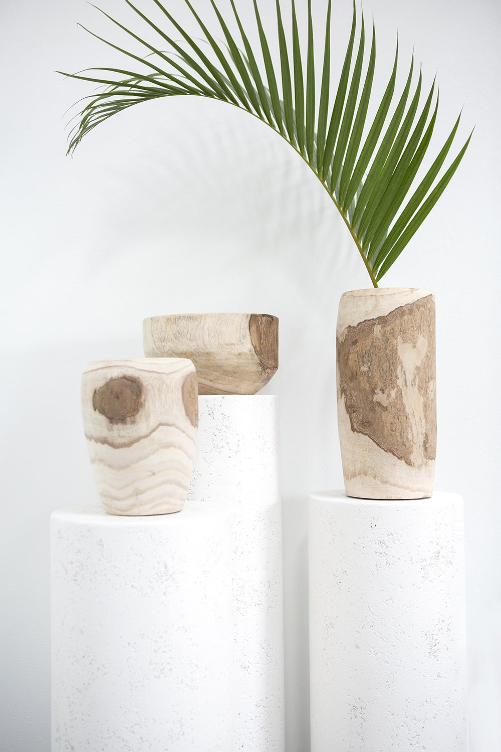 Yucca Vase and Bowls By Accent Decor | Vases | Modishstore