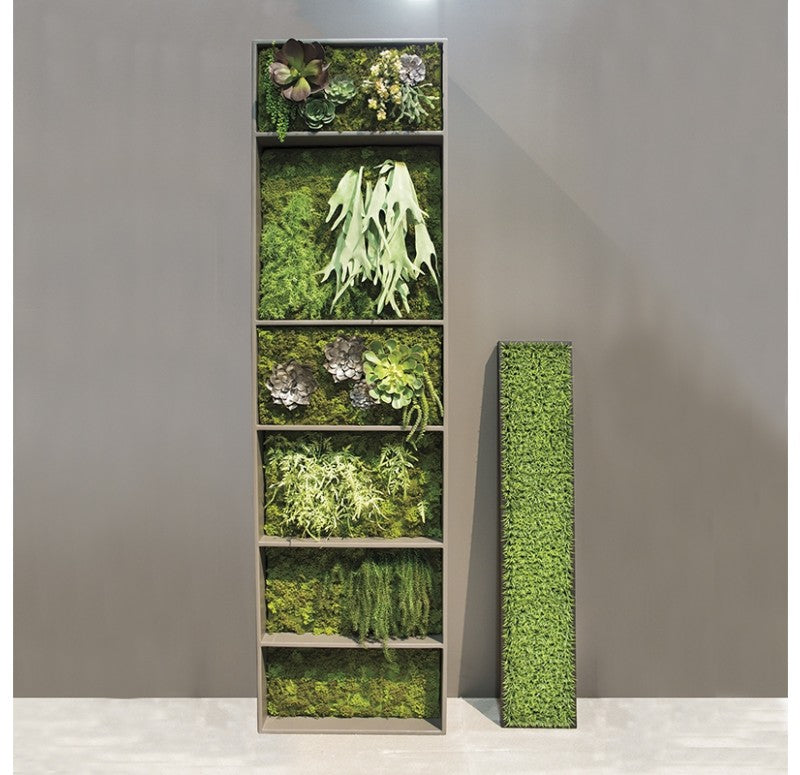 Green Wall, Curly Grass by Gold Leaf Design Group | Green Wall | Modishstore