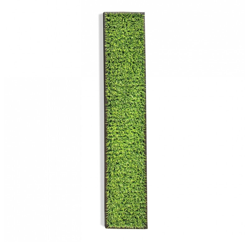 Green Wall, Curly Grass by Gold Leaf Design Group | Green Wall | Modishstore - 4