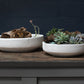 Zane Bowl Set Of 2 By Accent Decor | Decorative Bowls | Modishstore